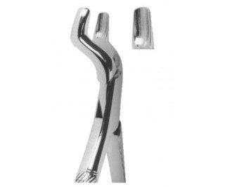 Extracting Forceps American pattern